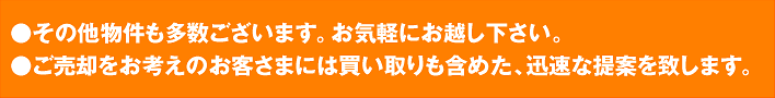 ���̑������������������܂��B